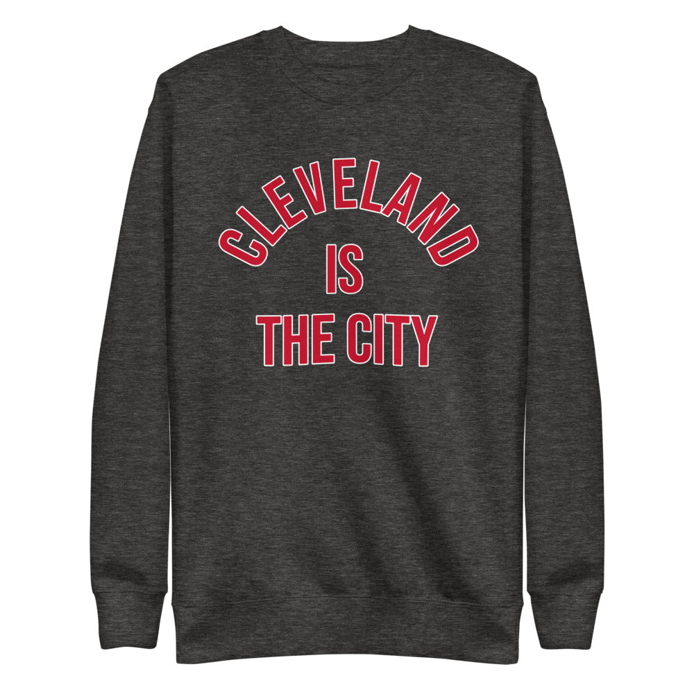 Cleveland Is The City Ohio fleece pullover
